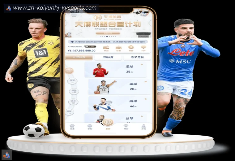 开云APP全站APP
