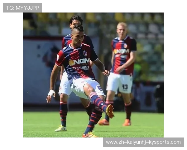 意甲球队转会投入与市场动态分析